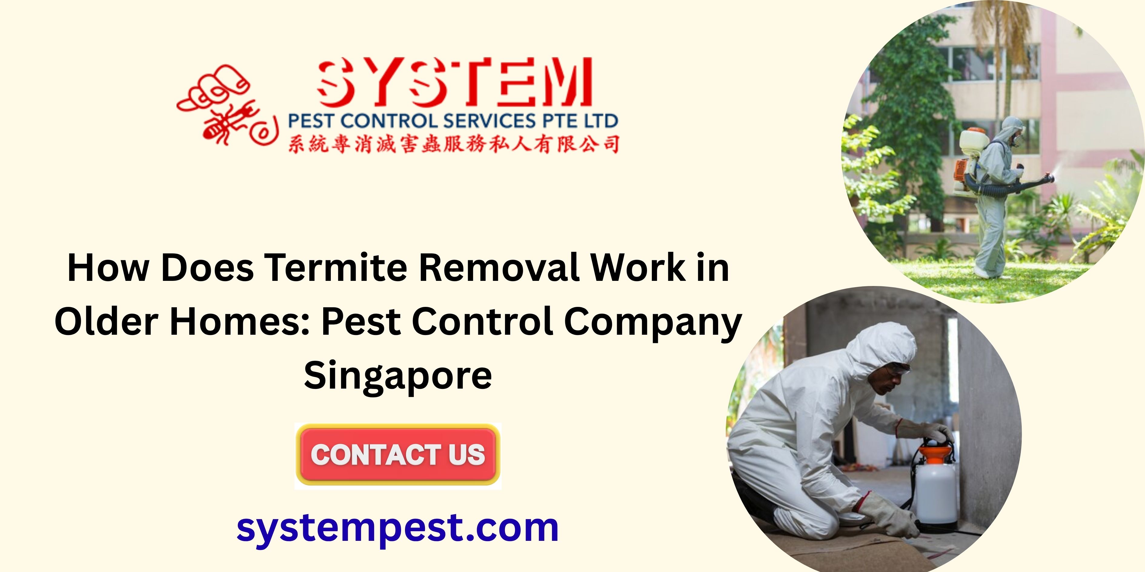 How Does Termite Removal Work in Older Homes: Pest Control Company Singapore